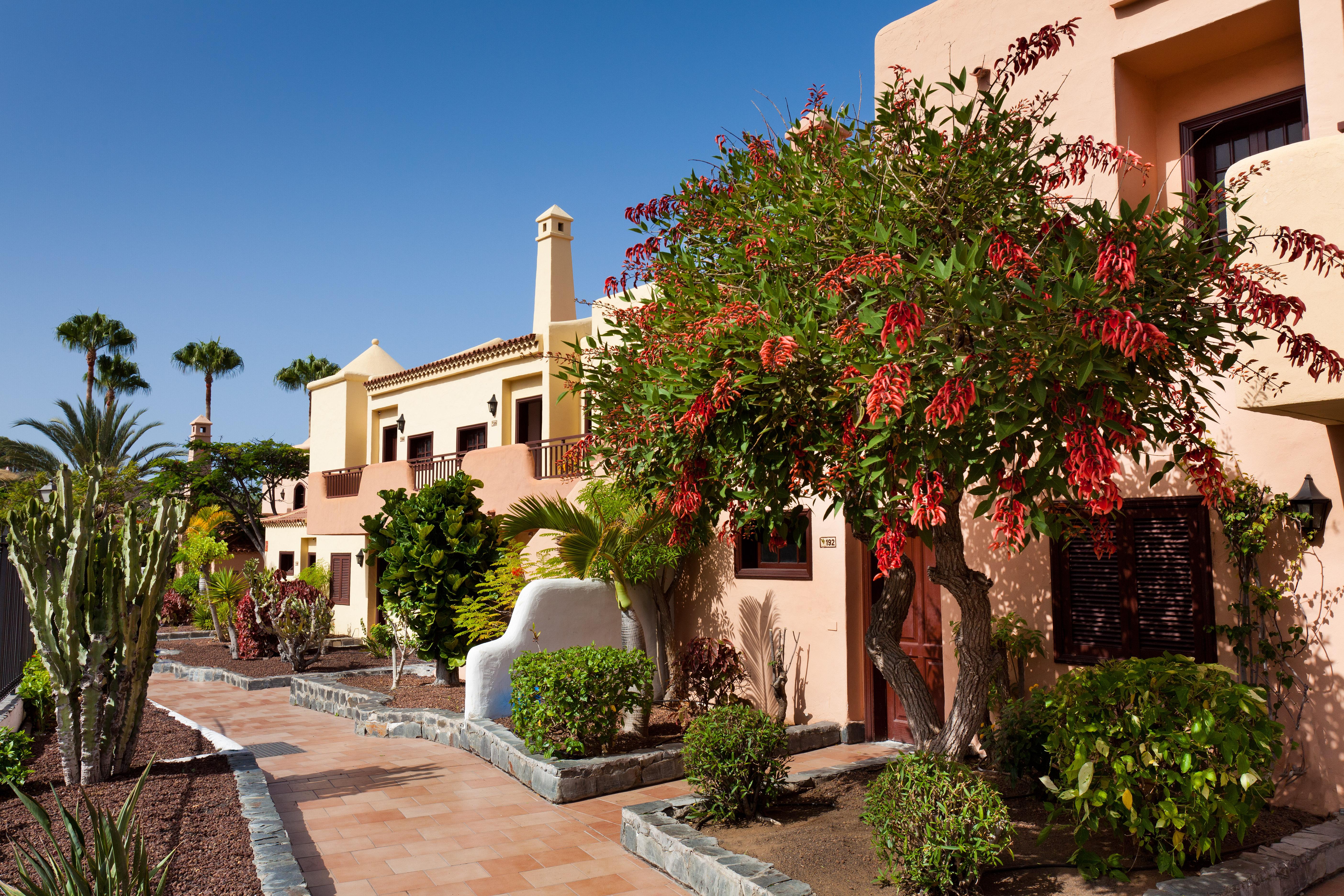 Tagoro Family & Fun Costa Adeje Hotel Exterior photo